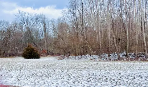 Residential Land Near Portage River