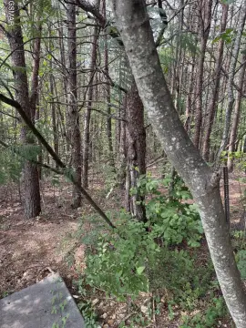 Pigeon Forge Land For Sale