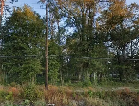 Highway-Frontage Commercial Land