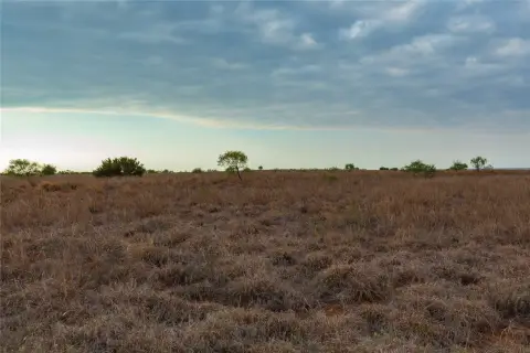 Whitetail Hunting Land