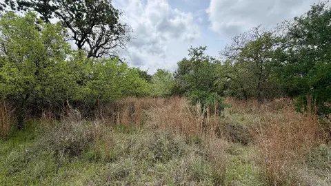 Kingsland, TX Land Opportunity