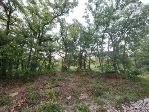 Unrestricted Land in Chico, Texas