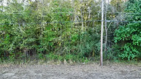 Residential Land in Tuscaloosa, AL