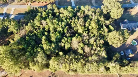 Residential Land in Established Neighborhood