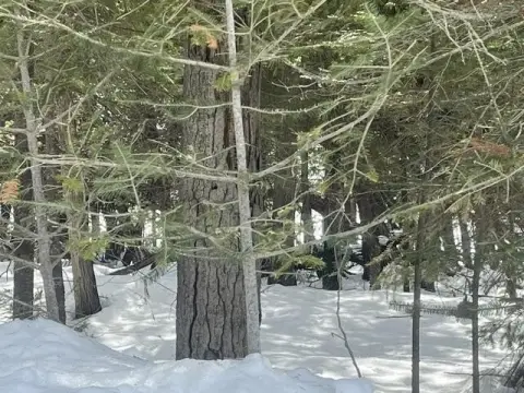 Waterfront Land on Bois Blanc