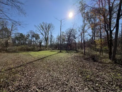 235 Acres Hunting/Investment Land