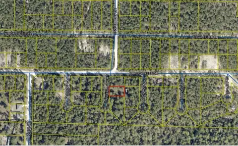 Cleared Homesite in DeFuniak Springs