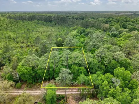 Land Zoned R1M - Harold, FL