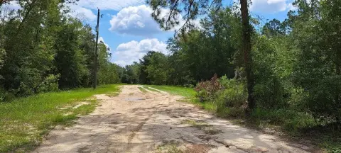 Residential Land in Hawthorne, FL
