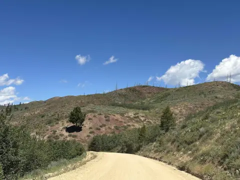 Hunting and Recreation Land with Forest Access