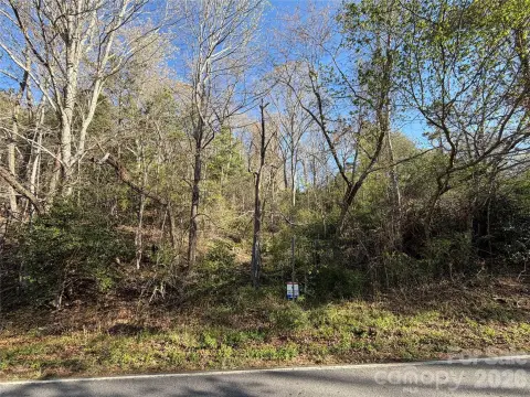 Asheville Land with View Potential