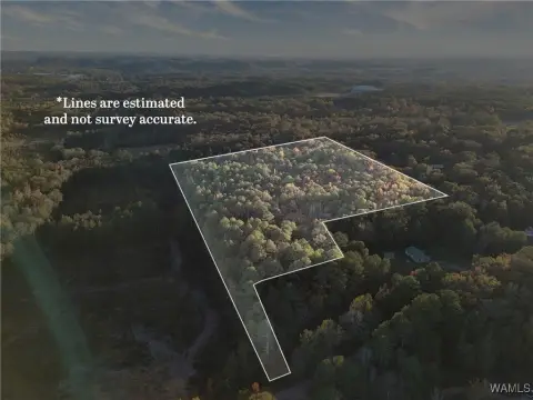 16 Acres Wooded Land, Jasper