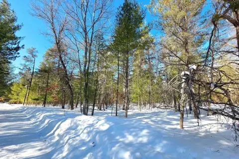 Wooded Land in Grayling, MI