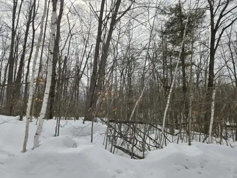 Land in Quiet Gaylord Neighborhood