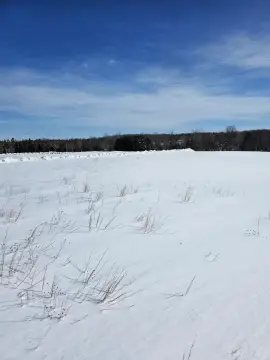 Scenic Land with River Frontage