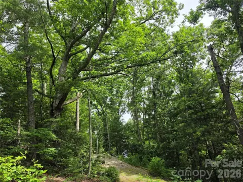 Ready-to-Build Mountain Homesite Land