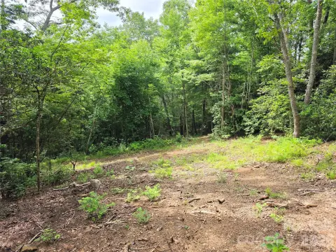 Ready-to-Build Mountain Homesite Land