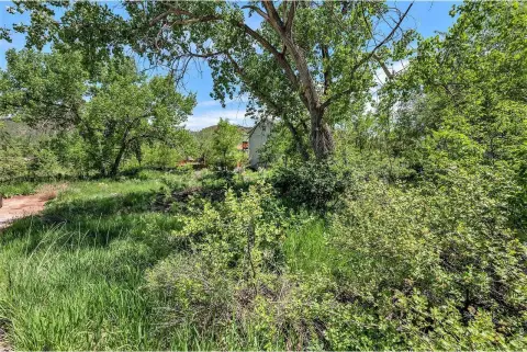Residential Building Lot with Driveway