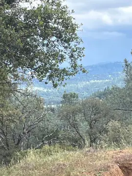 Ranch & Farm Land with Irrigation