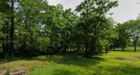 Residential Lot in Parkin, Arkansas