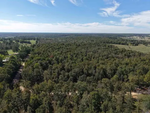 Hunting Land with Cabin