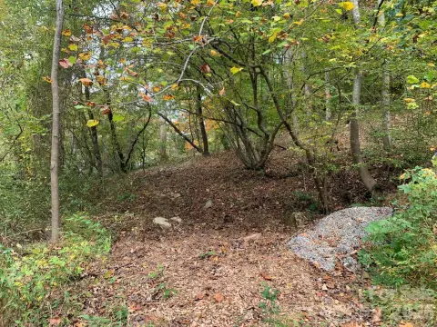 Asheville Land Near Downtown