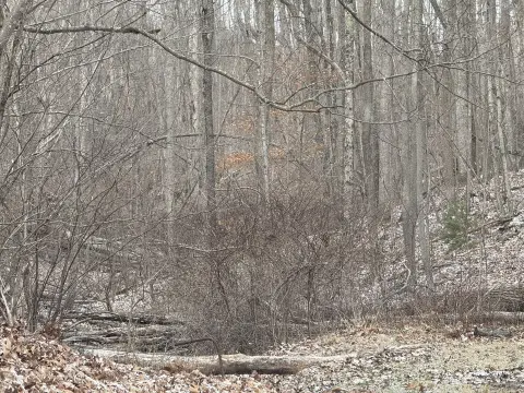 Bluefield Wooded Lot For Sale