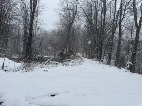 Land For Sale in Pax