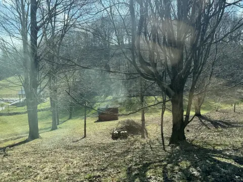 Residential Land in Bridgeport, WV