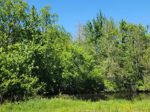 Waterfront Recreational Land Lot