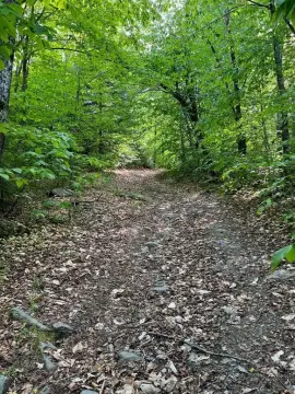 Wooded Hunting Land