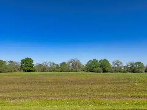 Residential Land in Iola, TX