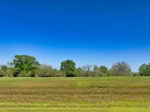 Residential Land in Iola, TX
