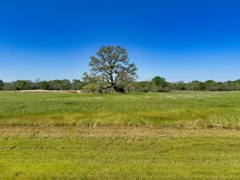 Residential Land in Iola, TX