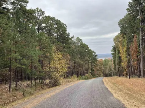 Wooded Lot Near Greers Ferry