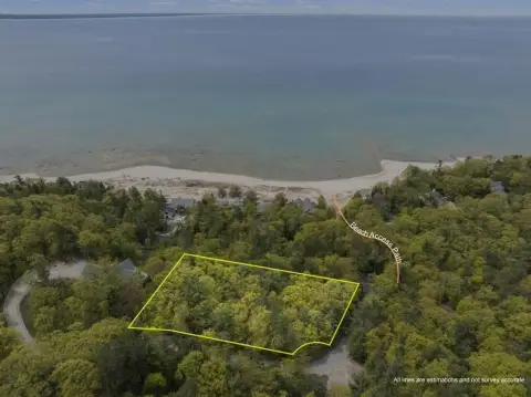 Harbor Springs Wooded Lot