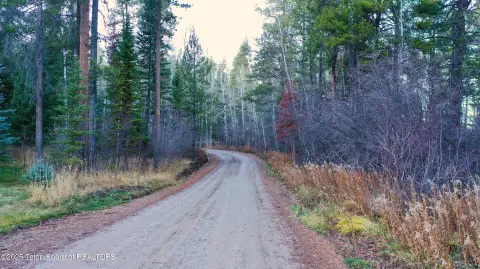 Treed Lot in Teton Valley