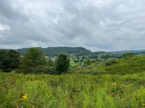 Fountain Springs Golf Course Lot