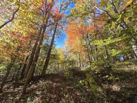 Mountain View Residential Homesite