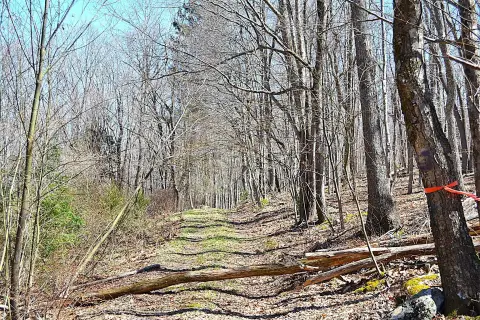 Wooded Acreage in Gap Mills