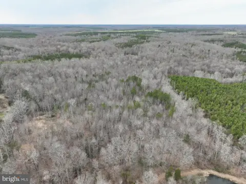 Wooded Farmland Tract With Easement Access