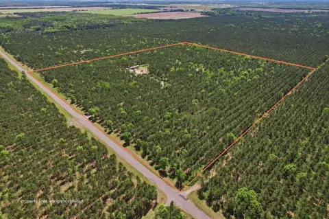 Wooded Recreation Land with Homesite