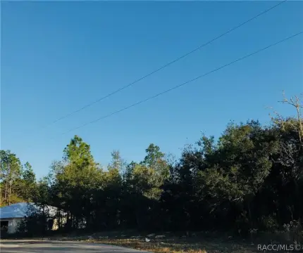 Citrus Springs Land For Sale