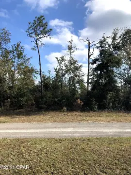 Wooded Waterfront Land Parcel