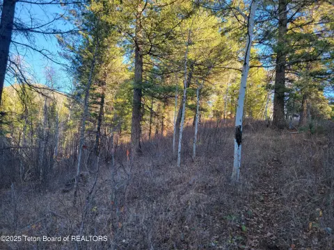 Irwin, ID Land For Sale