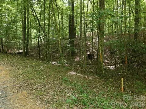 Lenoir Land in Blue Ridge Foothills