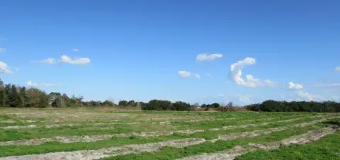 7.3 Acres Near US-27