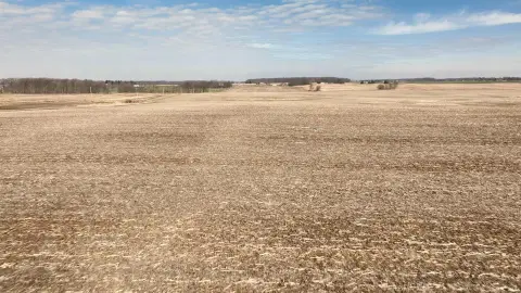 88.5 Acres Tillable Cropland Auction