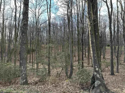 Residential Land in Wooded Setting