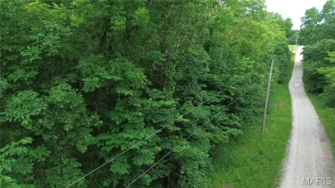 Unrestricted Wooded Land Tract